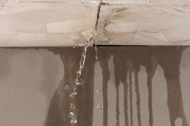 Professional Structural Drying technician working in Farmville, NC
